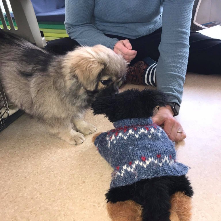 173716249_377844796666418_1724707728212220823_n