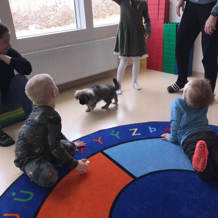 173767826_3138984959662035_1855619153455176043_n