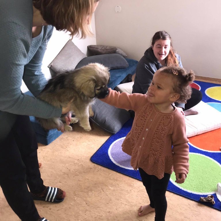 173907068_286391956306227_5356666266344157430_n