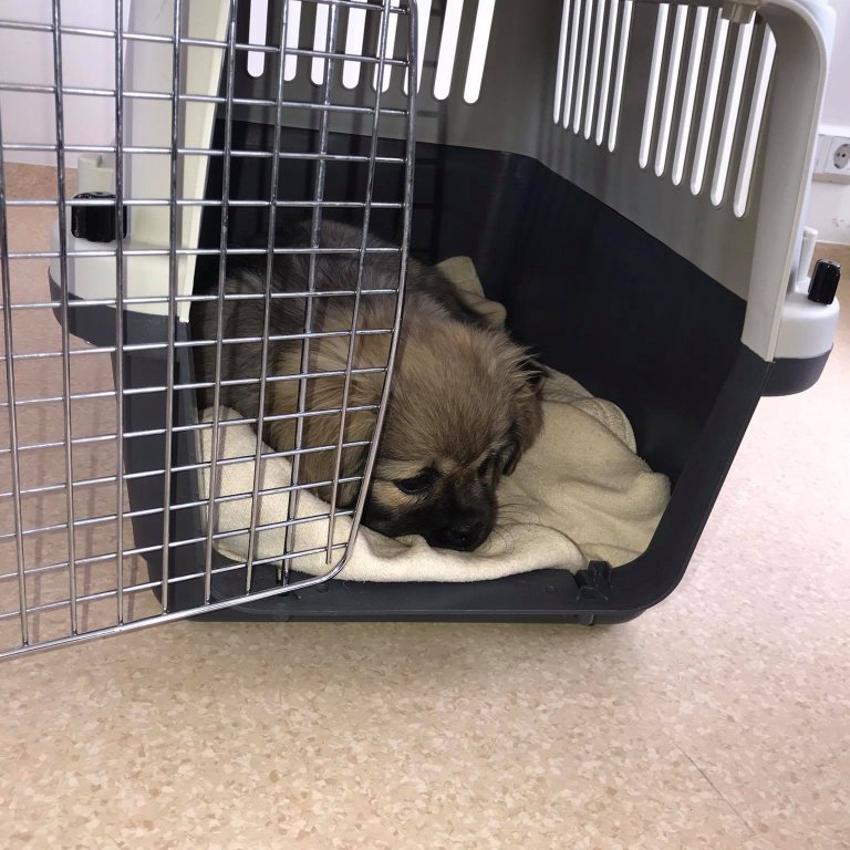 174018006_298533384993083_5671768388125391852_n