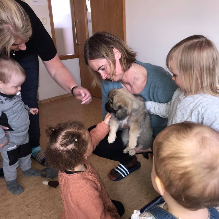 174207682_287409512975689_4380983991187621188_n