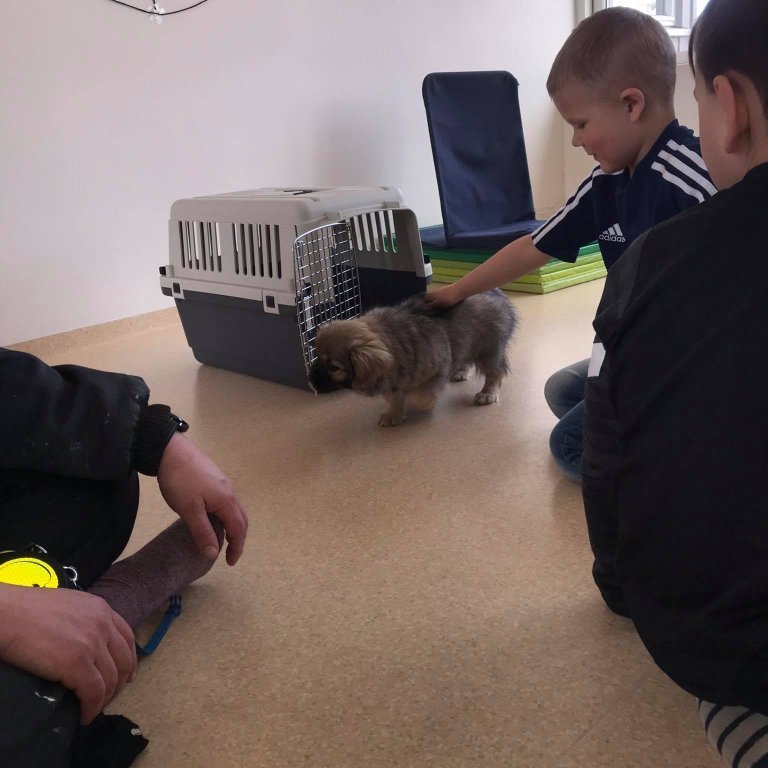 174346616_159306162765378_955524971394421174_n