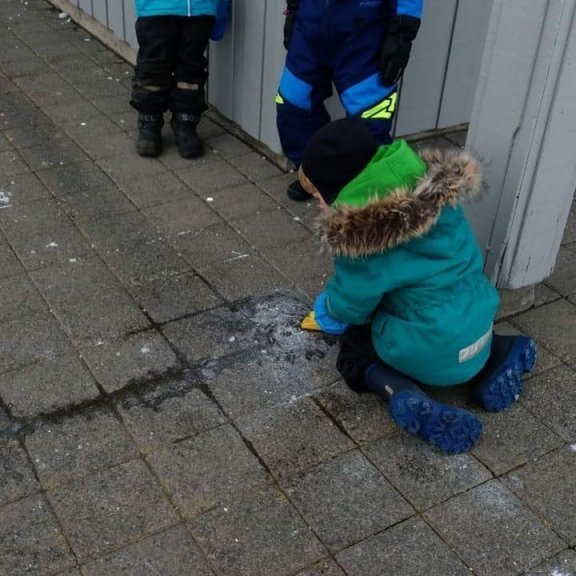 125063683_355816548844256_1932676744508024548_n