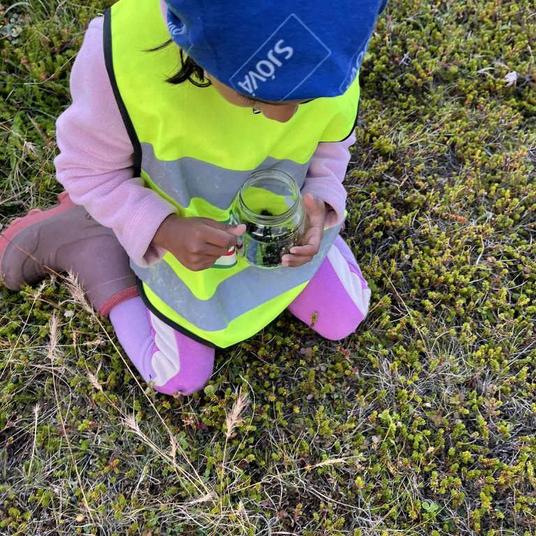 486b067b-803d-4ad7-b157-098f9ee55ca0