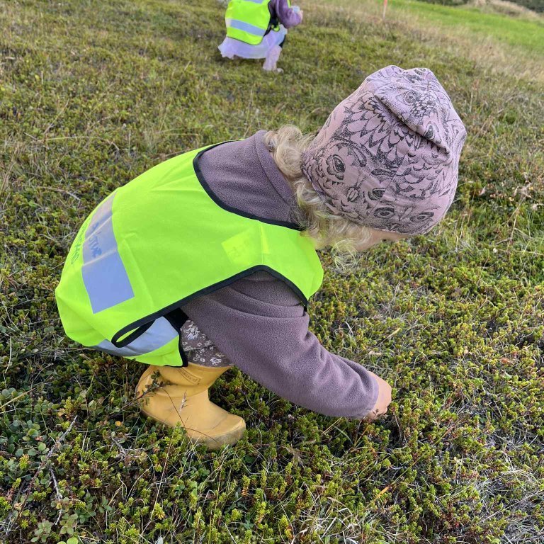 ebc12cb1-2368-4631-9475-2f7ad79c1857