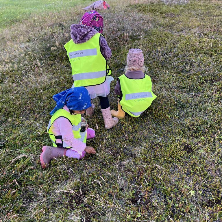 ee0e10f8-15c0-4336-bb22-103fc819a8f9