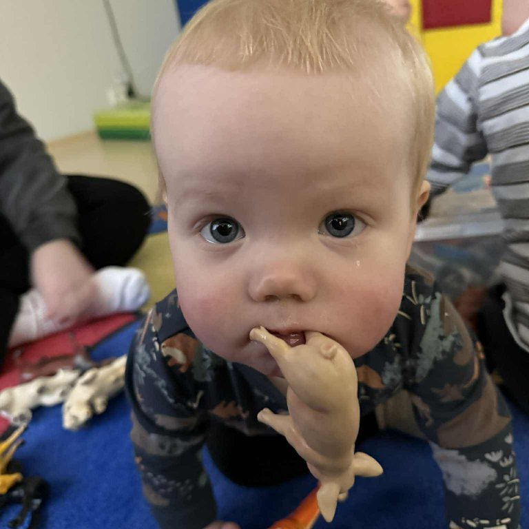 bb5e9790-b2a2-4943-b4e4-071a66f2115f