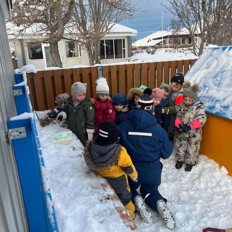 482424002_1623724582355249_1470900845392742852_n