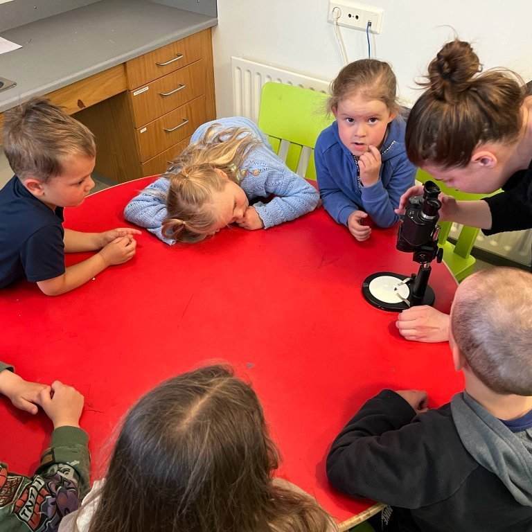 900ca7b7-21ba-457f-9519-be48ce07c66f