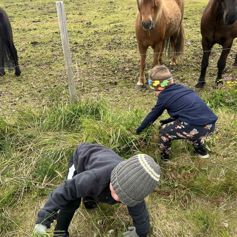 04e49625-5d4e-48ed-81d8-ed2039bf6759