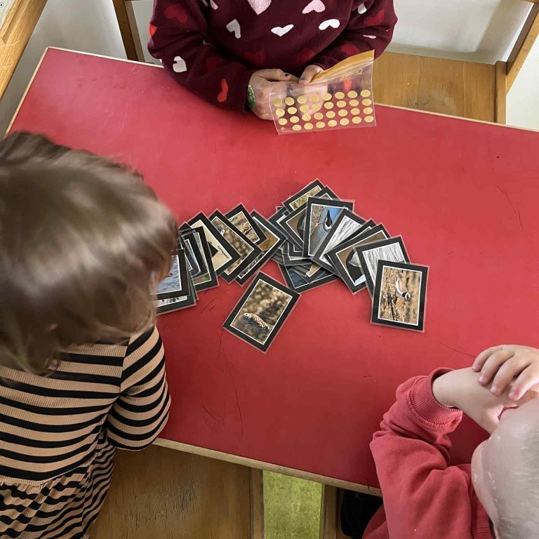 0be1c9a9-cab9-4559-8a5f-65cb9c0fc917-copy