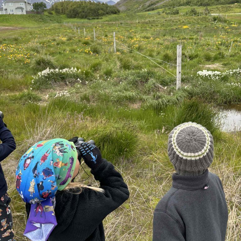 0e7b2ad9-8d13-4982-b893-84cf0e4b8774