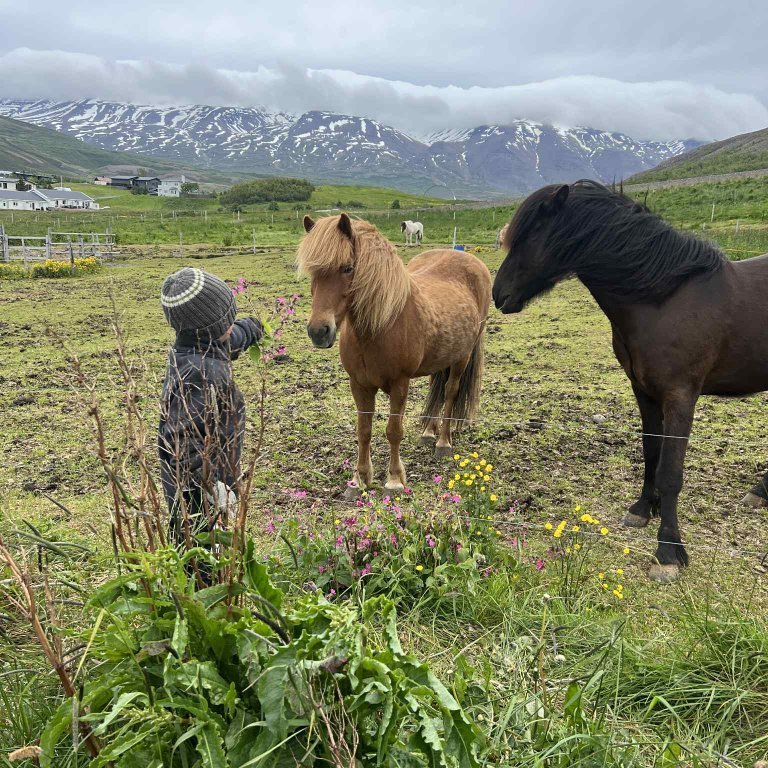 135a744a-196a-4f43-8b64-cc6b38c2fff9-copy