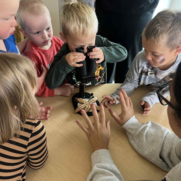 3530bb39-9a36-4d34-9f55-1c63c85c31f3-copy