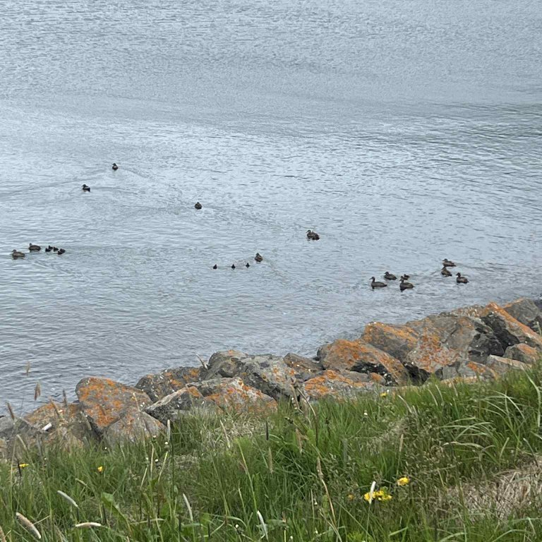 35d34e94-7dbd-47d7-bfa5-31bd535e5972-copy