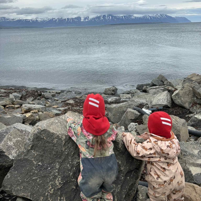 62e2469a-0a5b-417e-89e8-ced75b58f6e5