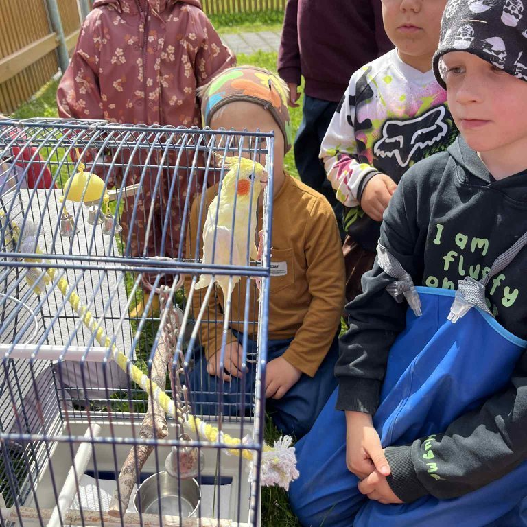 6d0eb134-85f0-4be5-b508-6bbbd1e0bd35-copy