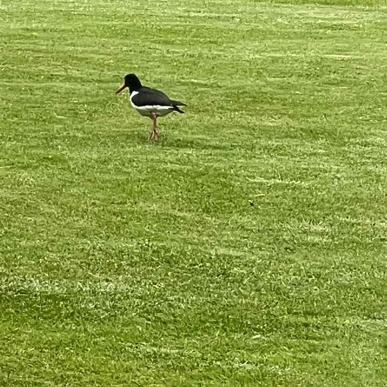 73e2bc0f-d33d-4d8c-ae39-4e8b3c4ec6f2-copy