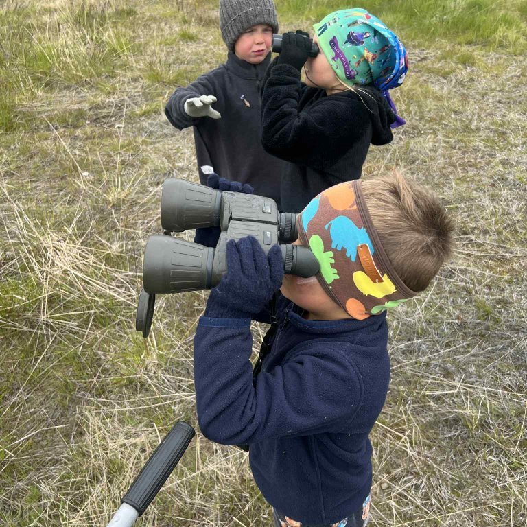 7fc274b0-04b4-4e0b-bb67-4bd15414218f-copy