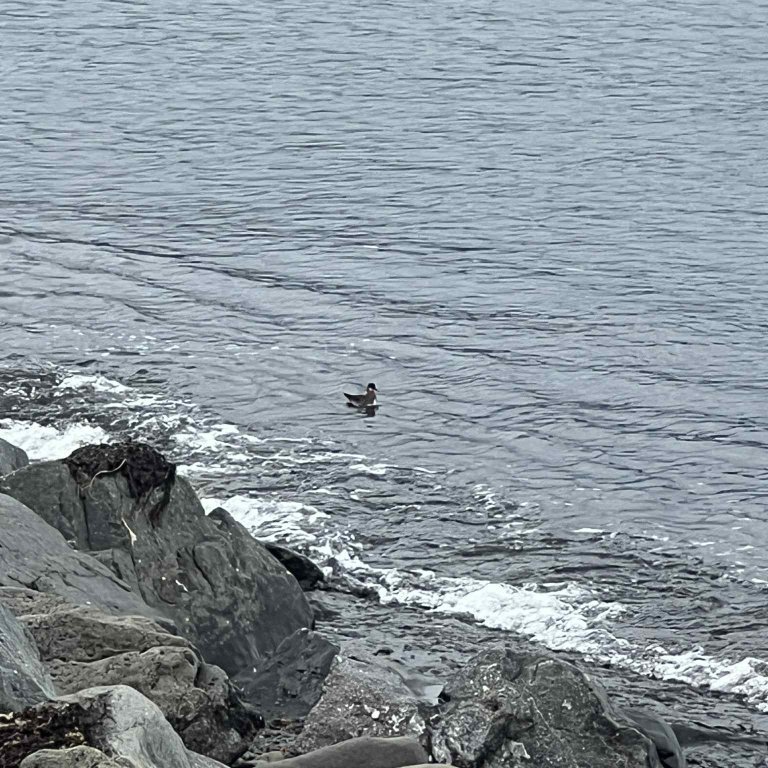 ad7fa06b-601a-4d02-9eca-2abe59c4bde5-copy