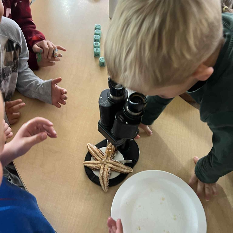 d2112779-078a-467b-b498-6ecee888396d-copy