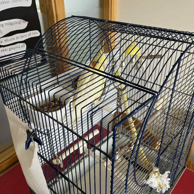 d2c3c1b0-af12-400f-b713-57547c495da7-1-copy