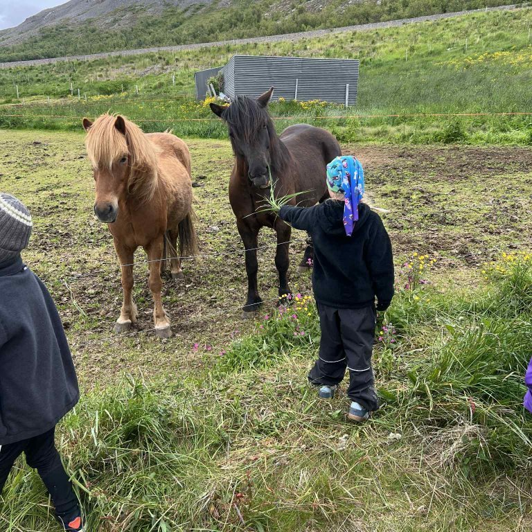 d60384b5-5afa-4778-876a-67be8ff218d4