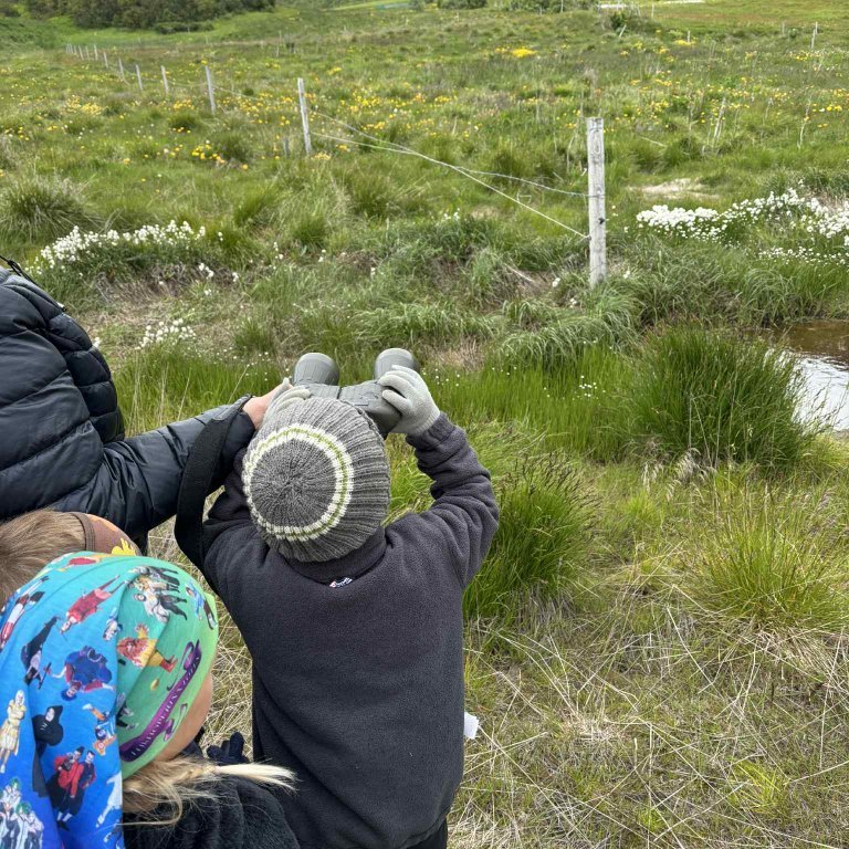 e97d30be-fa68-4314-b5fd-362ab3ddfb7c