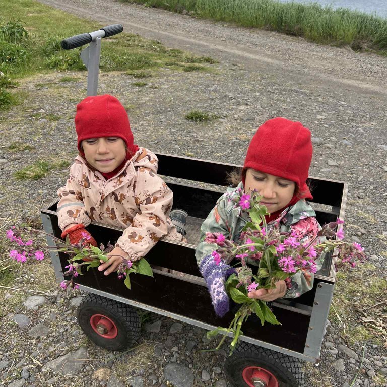 ebe9095e-4418-429a-92a5-da15d99be67a