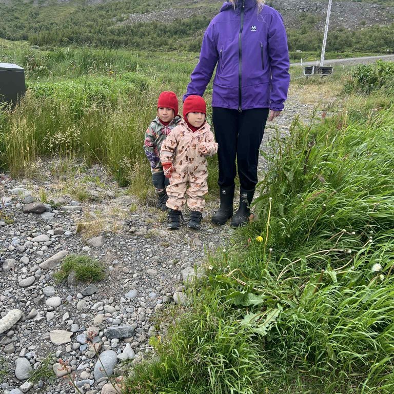 fc85187e-eb33-4a58-be86-376ef7e5421b-copy