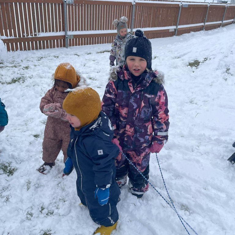 25d3e19c-8df7-46b6-a8ac-a0c537189bb6