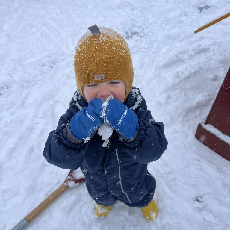 462542570_512222101586352_7246199818465320077_n