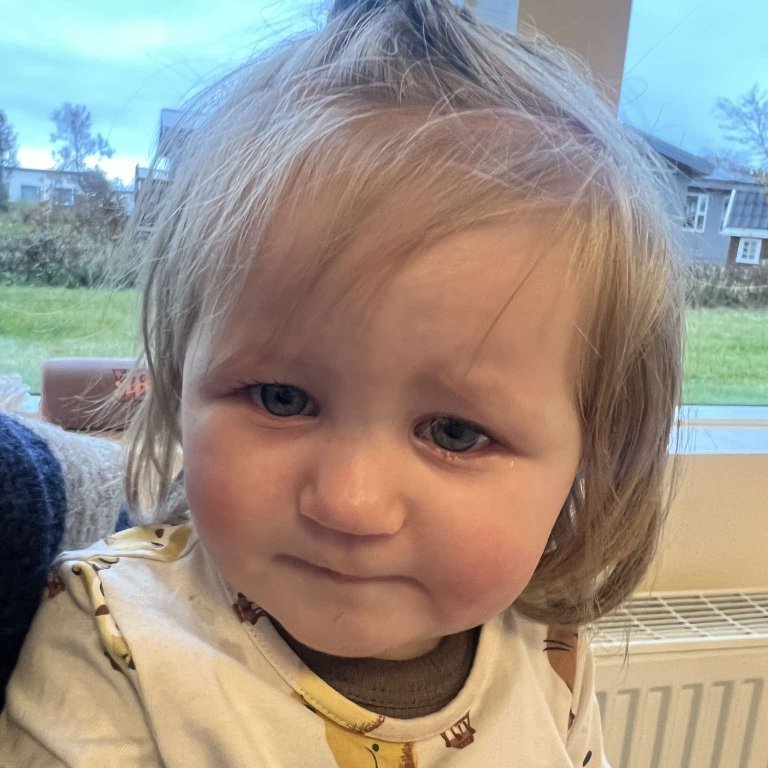 462548003_565657079458302_8315055702793800675_n