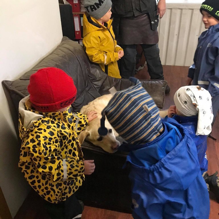 121015869_620592965486889_1360275081422156975_n-1