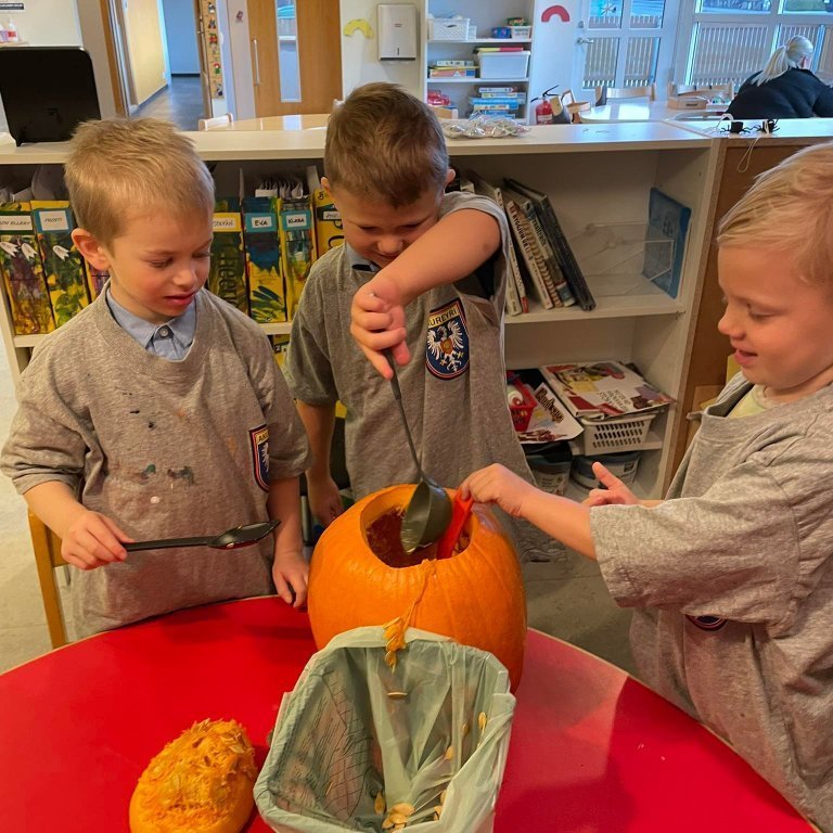 312373418_426048309688155_2334546514780696208_n