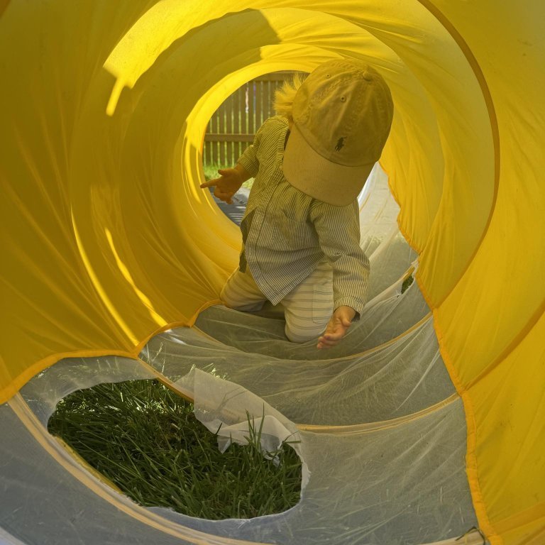 449514965_477347961545518_195065825218109769_n