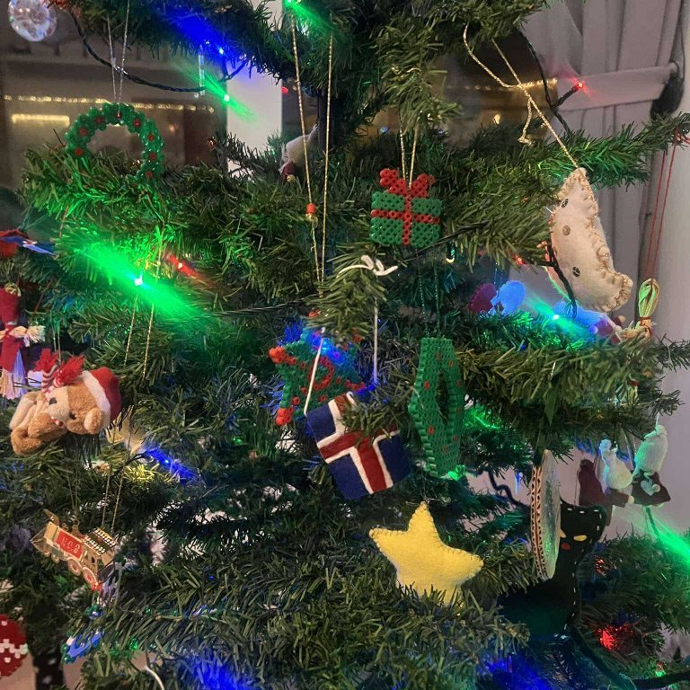 462646933_1543182899670369_3370721055620272923_n