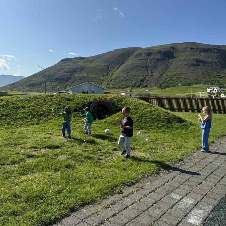 de4d6e3e-78b9-4ffa-89ba-83e8a33c01e2