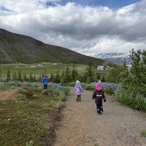 img_0724.jpg