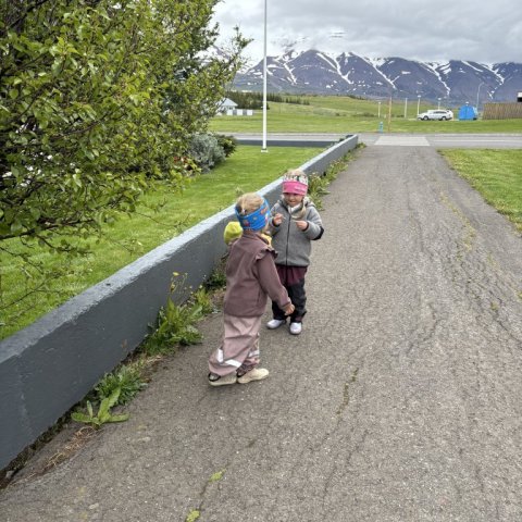 img_0808.jpg