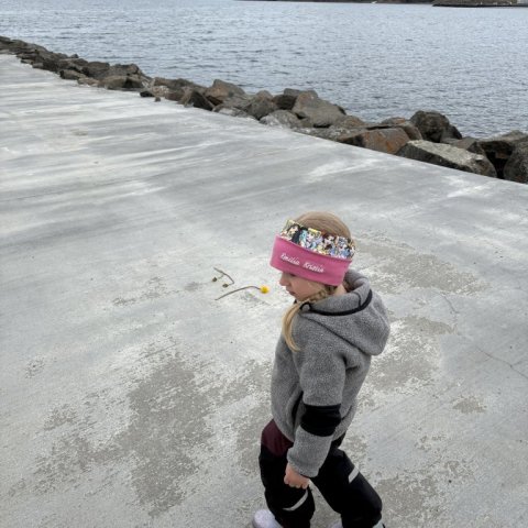 img_0827.jpg