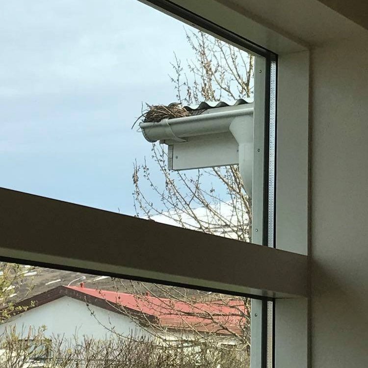 187745892_1070119650064462_752891062757006794_n