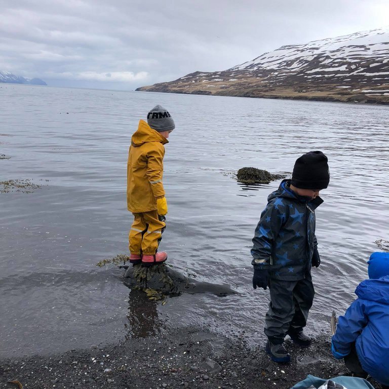 188656716_192489632724223_7435232689711211723_n