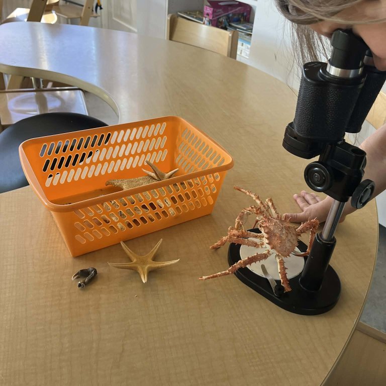 264785c7-b48f-4e41-bf3d-6833cc735018-copy