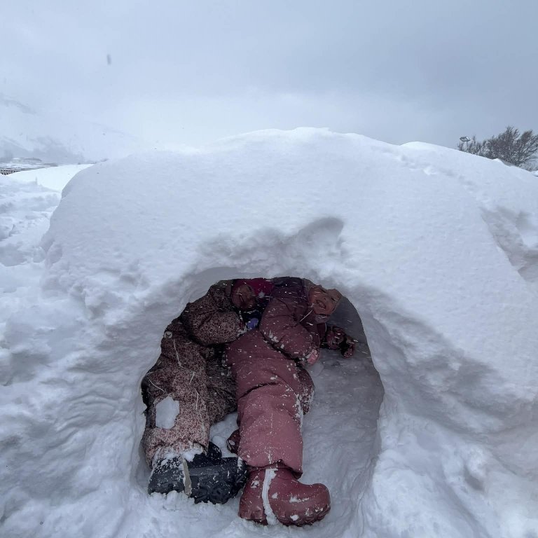 2aba2a55-1bd2-4bf1-b170-f1cdfb253e64-copy