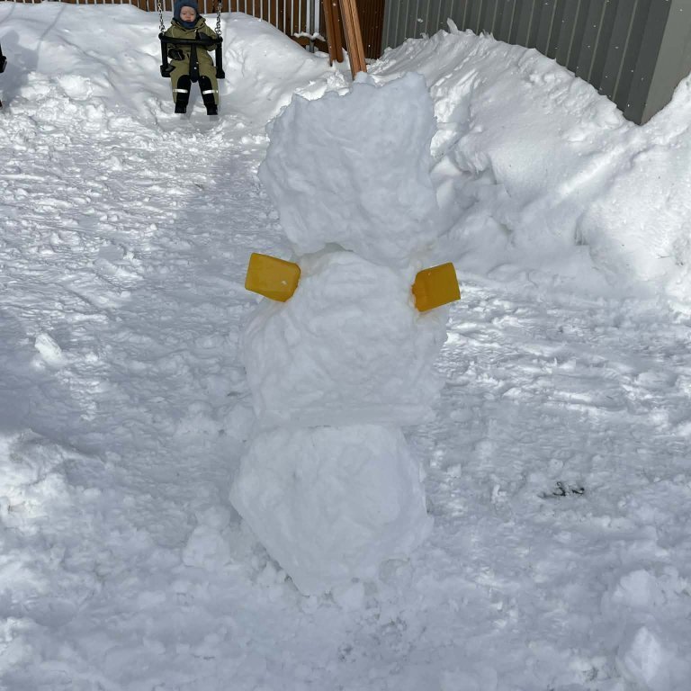 6ee362a0-71a2-47a2-bd74-84462c56e470-copy