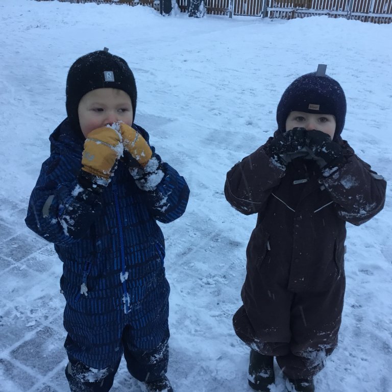 photo-17112020-10-16-25