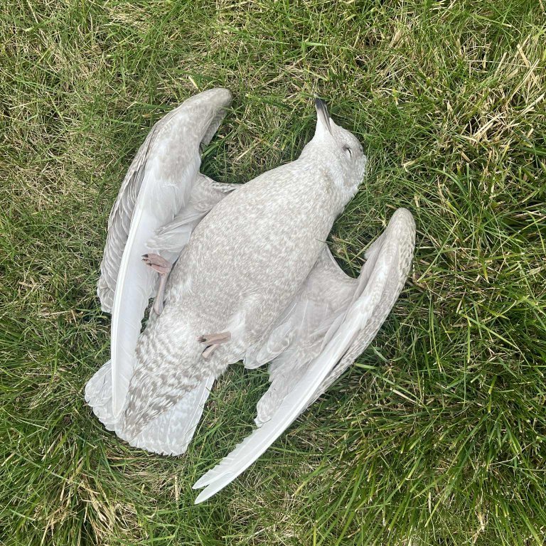 10f9bbe4-4a8c-4cf8-a4bb-0c343675a4ea