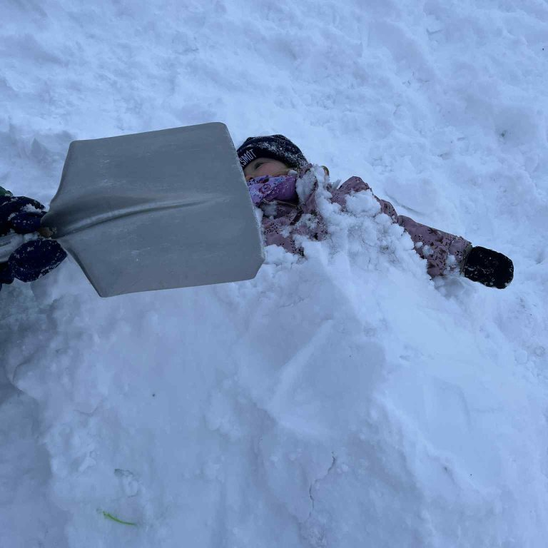 66d5b1a3-a9f1-425e-83f1-d05e86078951