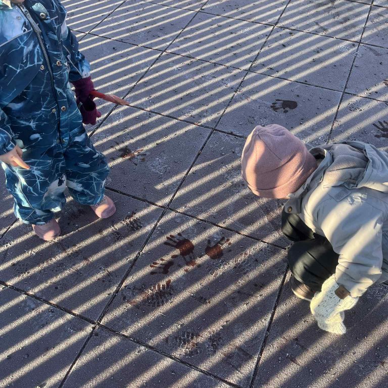 930b9a95-c6b4-415d-baa0-79d219f5876e